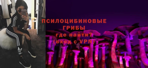 тгк Алексин
