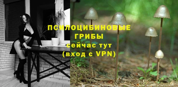 тгк Алексин