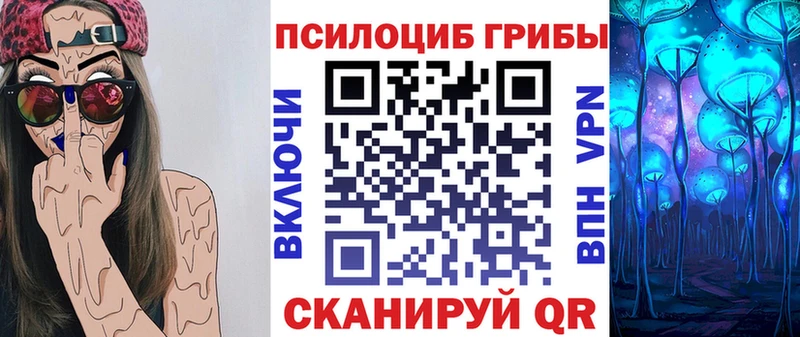 omg рабочий сайт  купить закладку  Бакал  Псилоцибиновые грибы GOLDEN TEACHER 